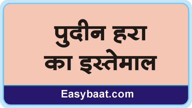 Pudin Hara Uses in Hindi